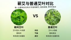 %e8%95%b2%e8%89%be%e4%b8%8e%e6%99%ae%e9%80%9a%e8%89%be%e5%8f%b6%e5%af%b9%e6%af%94pop